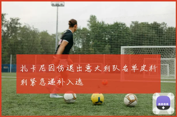 扎卡尼因伤退出意大利队名单皮科利紧急递补入选